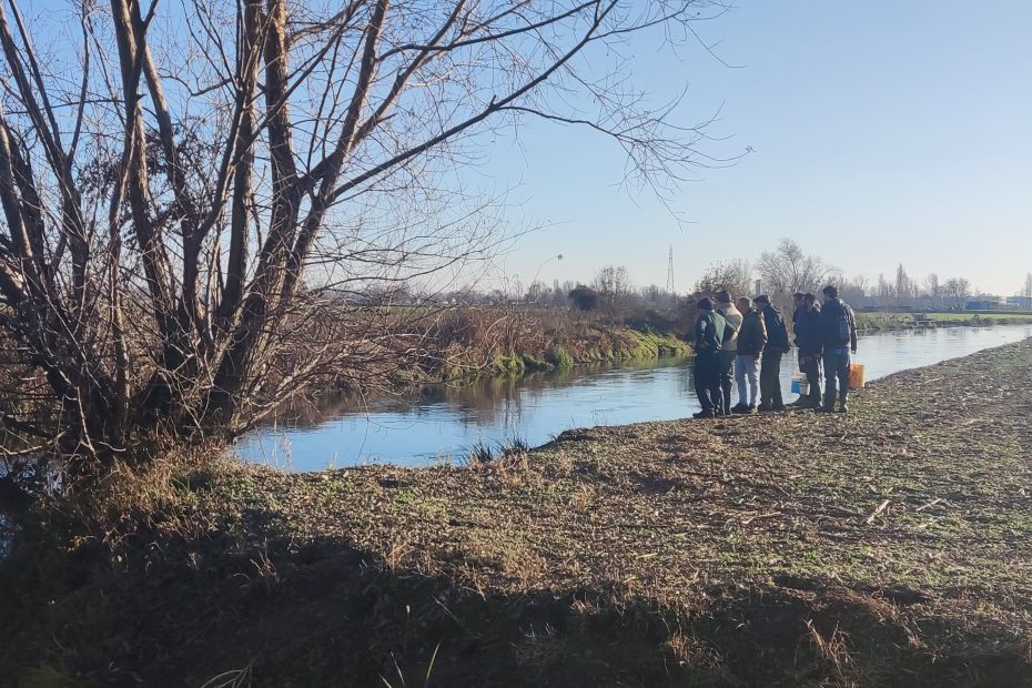 Pescatori a mosca orobici semina fipsas alchina roggia rino